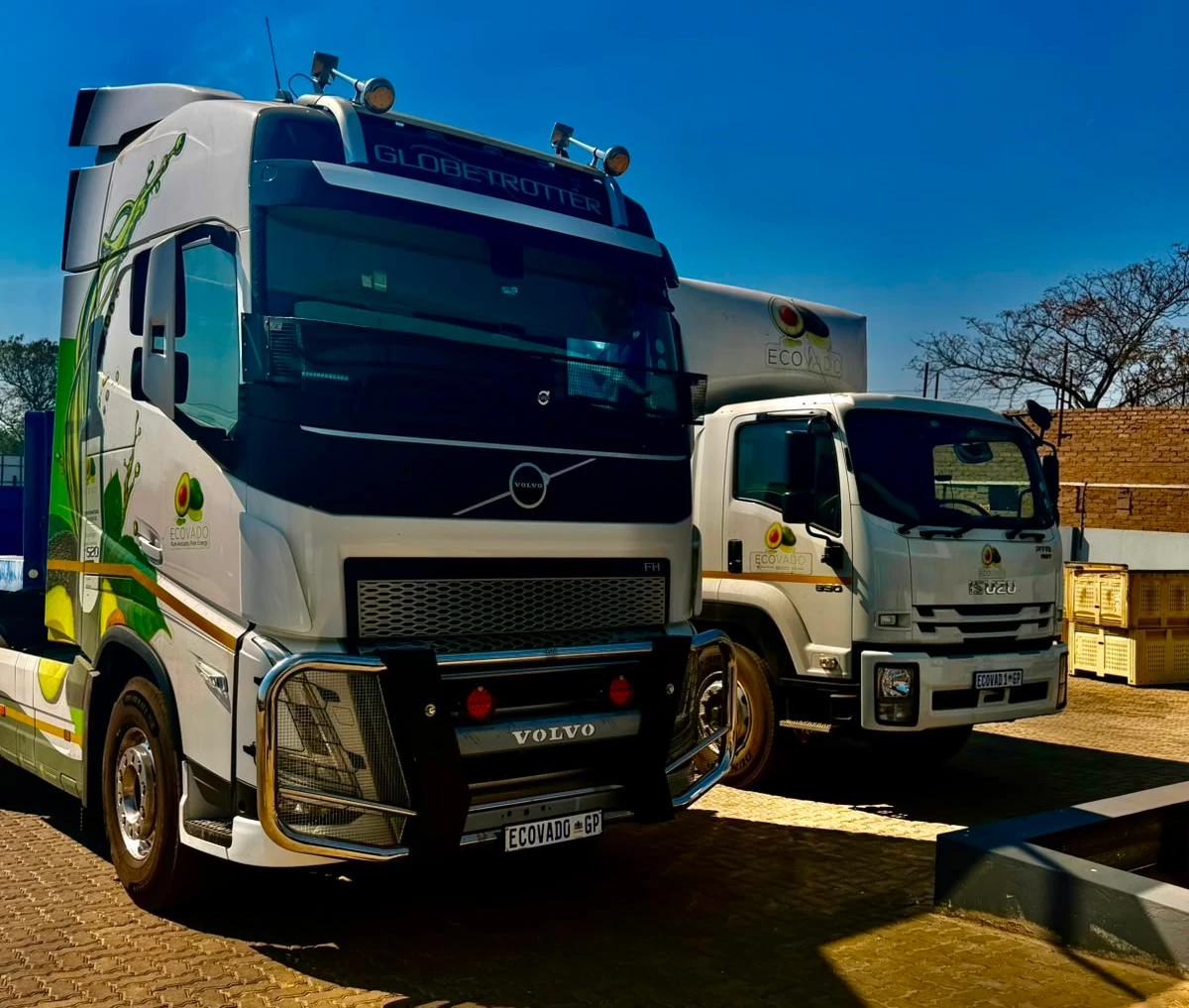 Logistic transportation